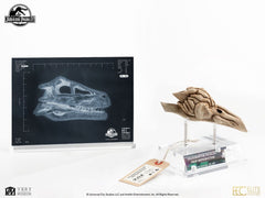Jurassic Park III Prop Replica 1/1 Velociraptor Resonance Chamber 18 cm 33245923