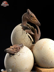 Jurassic Park III ECC Elite Creature Line Statue Hatching Pterosaur 16 cm 36928932