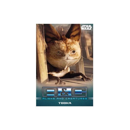 Star Wars: The Mandalorian Trading Cards Star 5053307053656