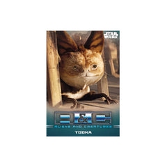 Star Wars: The Mandalorian Trading Cards Starter Pack *English Version* 5053307053656