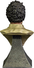 Texas Chainsaw Massacre Mini Bust Leatherface 15 cm 0811501036067