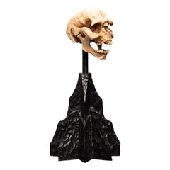 Lord of the Rings Mini Statue Skull of a Moria Orc 13 cm 9420024744291