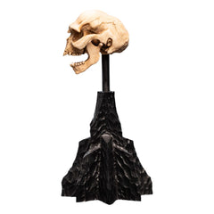 Lord of the Rings Mini Statue Skull of a Moria Orc 13 cm 9420024744291