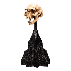 Lord of the Rings Mini Statue Skull of a Moria Orc 13 cm 9420024744291