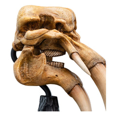 Lord of the Rings Mini Statue Skull of a Mumak 15 cm 9420024746912