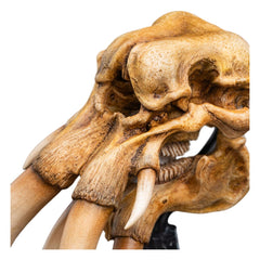Lord of the Rings Mini Statue Skull of a Mumak 15 cm 9420024746912