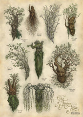 Lord of the Rings Art Print Ent's of Fangorn Forest 59 x 30 cm 9420024742020