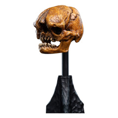 Lord of the Rings Mini Statue Skull of a Misty Mountain Goblin 14 cm 9420024746905