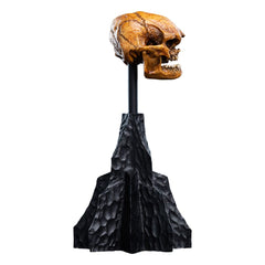 Lord of the Rings Mini Statue Skull of a Misty Mountain Goblin 14 cm 9420024746905