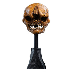 Lord of the Rings Mini Statue Skull of a Misty Mountain Goblin 14 cm 9420024746905
