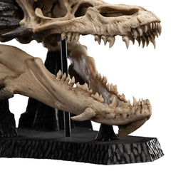 Lord of the Rings Mini Statue Skull of Smaug 22 cm 9420024747605