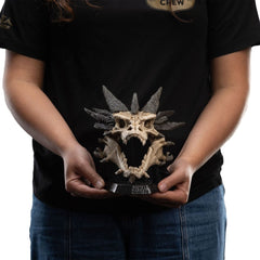 Lord of the Rings Mini Statue Skull of Smaug 22 cm 9420024747605
