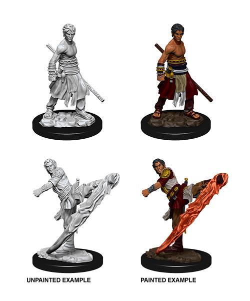 D&D Nolzur's Marvelous Miniatures Unpainted Miniatures Male Half-Elf Monk Case (6) 0634482738382