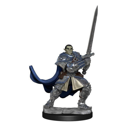 D&D Nolzur's Marvelous Miniatures Unpainted Miniatures Half-Orc Paladin Male Case (2) 0634482903070