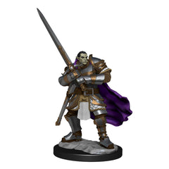 D&D Nolzur's Marvelous Miniatures Unpainted Miniatures Half-Orc Paladin Male Case (2) 0634482903070