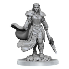 D&D Nolzur's Marvelous Miniatures Unpainted Miniatures 2-Pack Orc Fighter Female 0634482904053