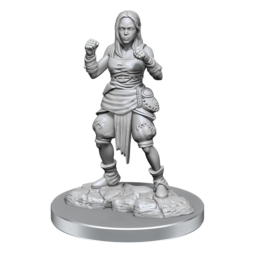 Pathfinder Battles Deep Cuts Unpainted Miniatures 2-Packs Half-Elf Monk Female Case (2) 0634482906521