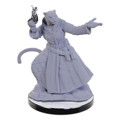 Critical Role Unpainted Miniature Lucien Tavelle & Cree Deeproots 0634482906637