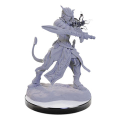 D&D Nolzur's Marvelous Miniatures miniature Unpainted Tiefling Warlocks 0634482906705