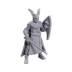 D&D Nolzur's Marvelous Miniatures Unpainted Miniatures 2-Pack 50th Anniversary Elves 0634482907344