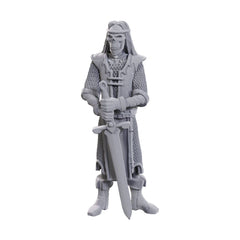 D&D Nolzur's Marvelous Miniatures Unpainted Miniatures 2-Pack 50th Anniversary Skeleton Knights 0634482907368