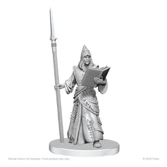 Pathfinder Deep Cuts Unpainted Miniatures Vloriak (Despoiler Demon) & Demonologist 0634482908365