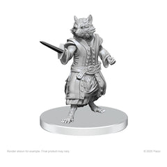 Pathfinder Deep Cuts Unpainted Miniatures Procyal (Raccoon Agathion) & Zoaem (Ring Archon) 0634482908389