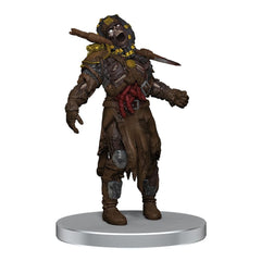 D&D Icons of the Realms pre-painted Miniatures Undead Armies - Zombies Set 0634482962084