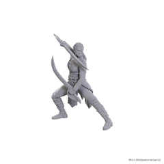 D&D Nolzur's Marvelous Miniatures Unpainted Miniature Jaheira & Halsin 0634482963685