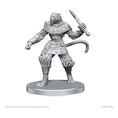 Pathfinder Deep Cuts Unpainted Miniatures Elf Hunter & Catfolk Bandit 0634482975824