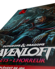 Dungeons & Dragons RPG Ravenloft: Les Reflets de l'Horreur Book *French Version* 9780786970339