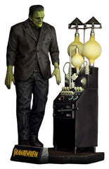 Frankenstein Plastic Model Kit 1/8 The Monster of Frankenstein 27 cm    4532149023580