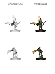  Dungeons and Dragons: Nolzur's Marvelous Miniatures - Female Elf Druid  0634482726426