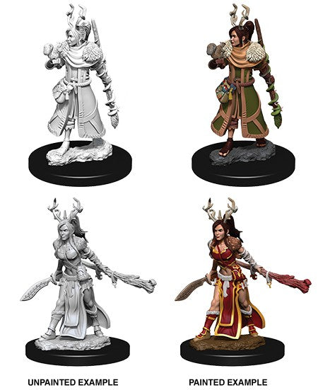  Dungeons and Dragons: Nolzur's Marvelous Miniatures -&nbsp;Female Human Druid  0634482737019