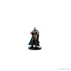 D&D Icons of the Realms: Curse of Strahd pre-painted Miniatures Legends of Barovia Premium Box Set 0634482960264
